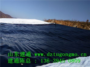 專(zhuān)業(yè)高效，品質(zhì)信賴 探訪江西復(fù)合土工布工廠直銷(xiāo)與山東建通建材加工服務(wù)